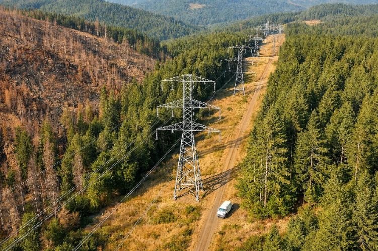 Power line vegetation management with aerial monitoring